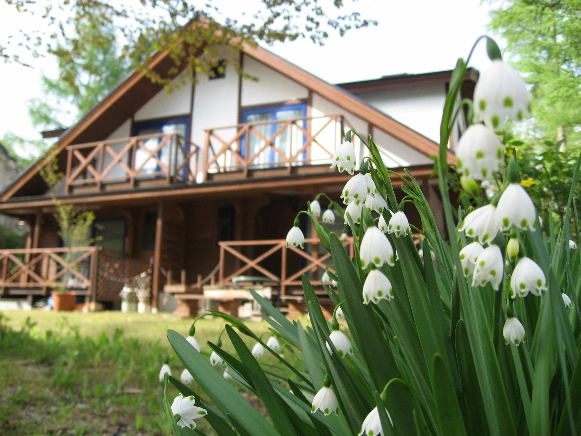 Villa Hakuba Megeve Exterior foto